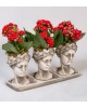 Trio Helen Kalanchoe Kırmızı