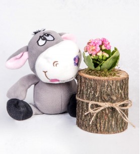 Pembe Kalanchoe Çiçeği ve Tatlı Peluş Eşek