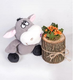 Turuncu Kalanchoe Çiçeği ve Tatlı Peluş Eşek