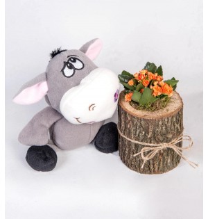 Turuncu Kalanchoe Çiçeği ve Tatlı Peluş Eşek