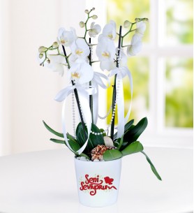 Konya Seni Seviyorum Mesajlı 3 Dal Phalaenopsis Orkide