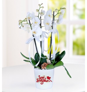 Konya Seni Seviyorum Mesajlı 3 Dal Phalaenopsis Orkide