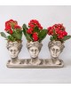 Trio Helen Kalanchoe Kırmızı