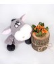 Turuncu Kalanchoe Çiçeği ve Tatlı Peluş Eşek