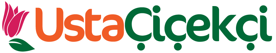 https://www.instagram.com/ustacicekcicom/